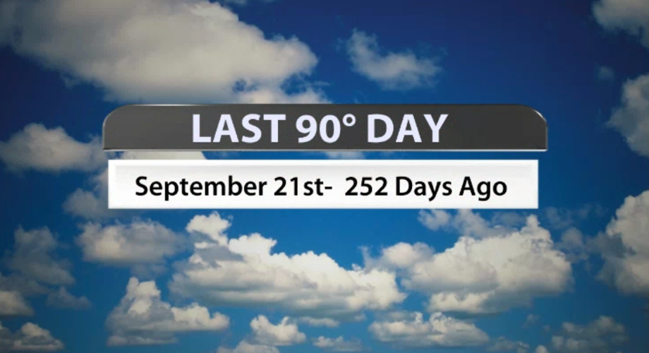 Screenshot 2023-05-31 at 3.44.02 PM.png