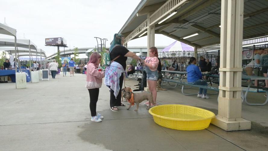 WAGGIN TAIL FESTIVAL