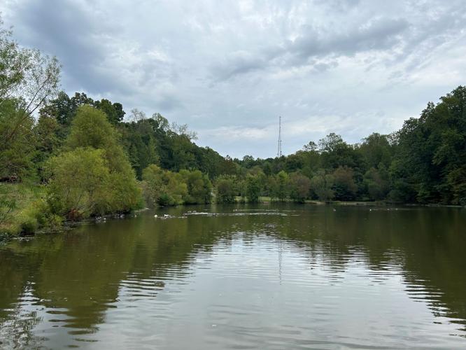 Waverly Park Lake Dam