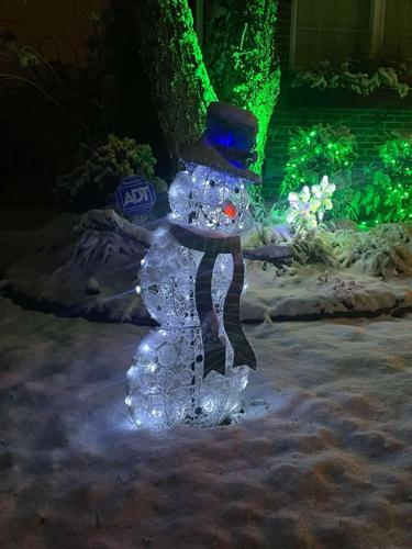 Frosty covered in snow 12.02.2025.jpg