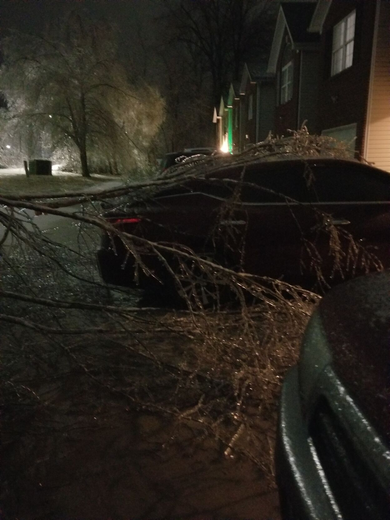 Limbs hit car in yard in Bardstown.jpg