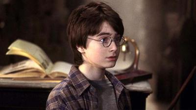 harry potter fox.JPG