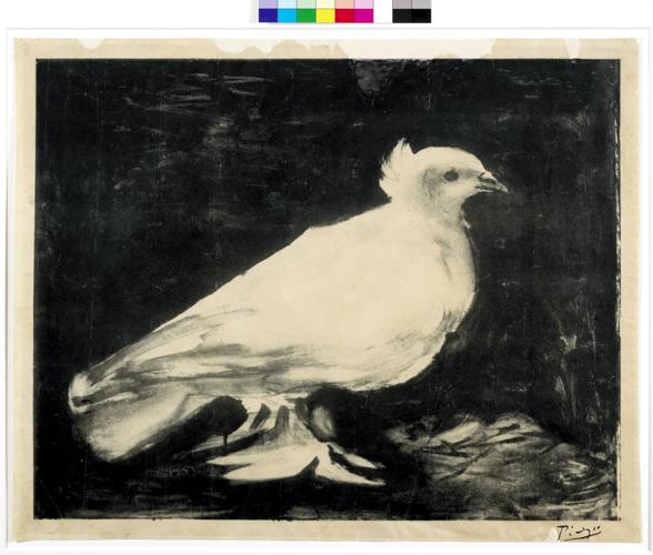 Pablo Picasso La Colombe.jpg