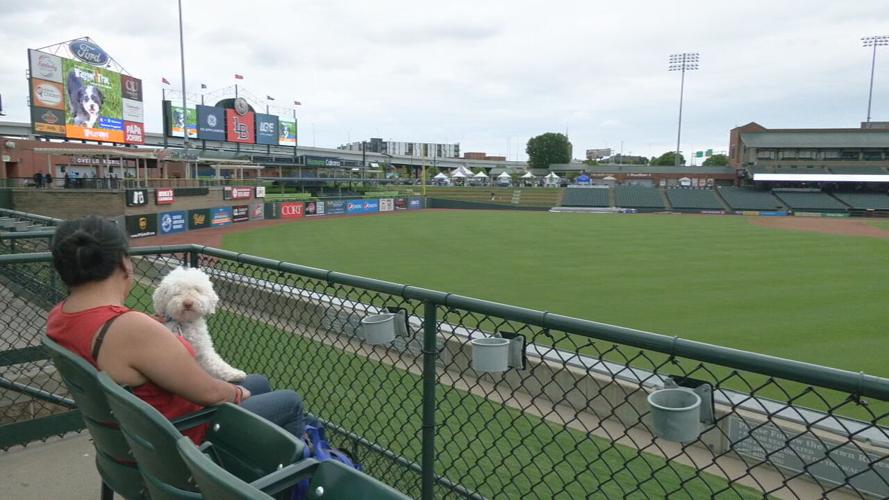 WAGGIN TAIL FESTIVAL