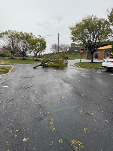 Storm damage at Blankenbaker Crossing in Jeffersontown