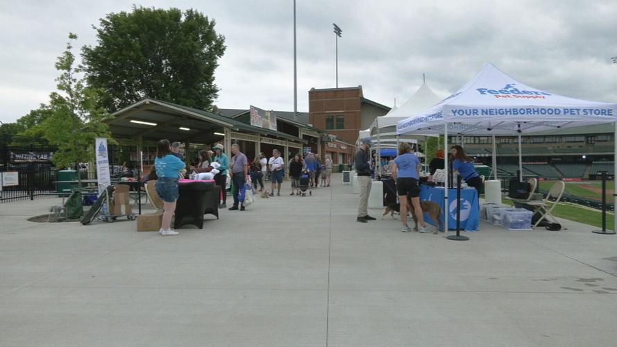 WAGGIN TAIL FESTIVAL