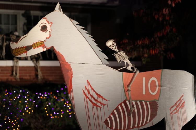 Small skeleton riding horse.JPG