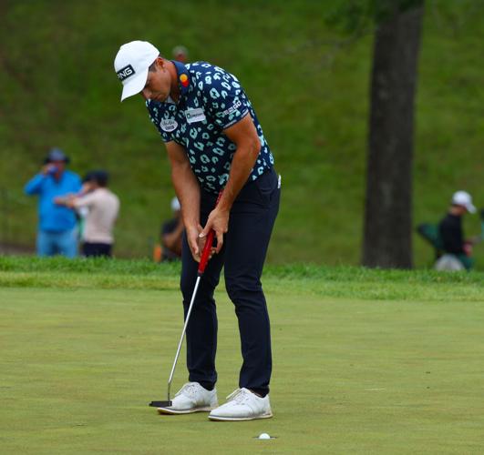 A putt is sank on 12th hole.JPG