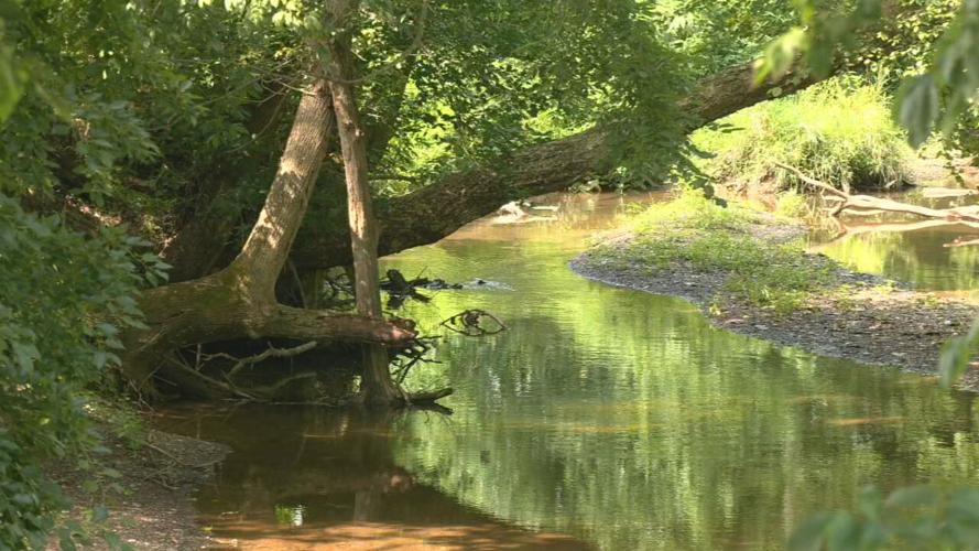 Creek in Henryville