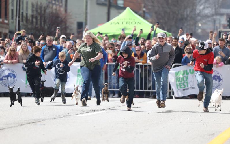 Goat races begin