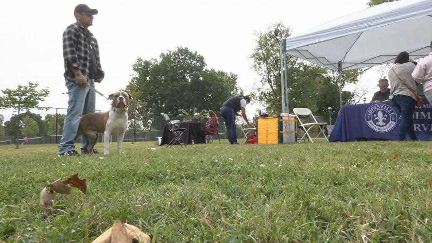 LMAS VACCINE CLINIC