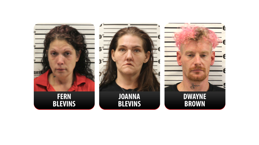 Fern Blevins, Joanna Blevins and Dwayne Brown