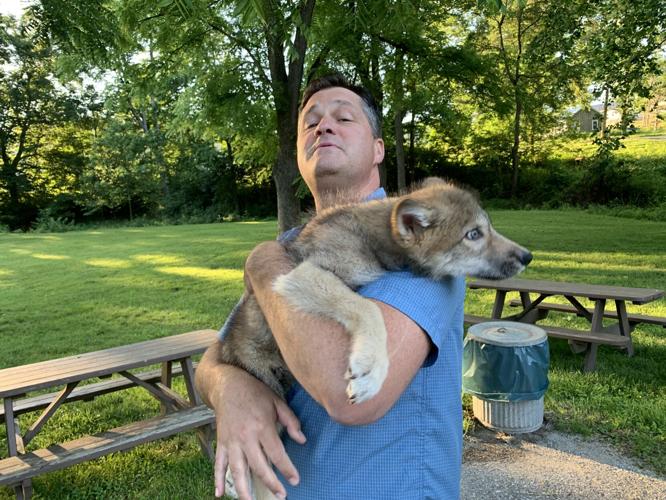 Wilstem Wildlife Park (43).JPG