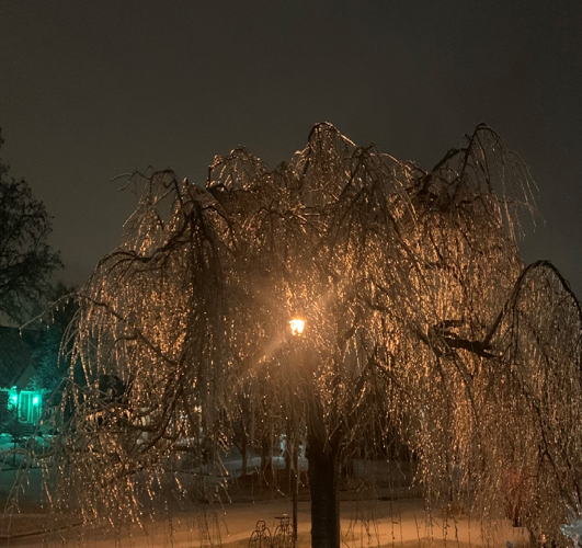 Ice in Fern Creek early.jpg
