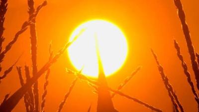 Warmer and Drier - Looking at the Long-Range Forecast