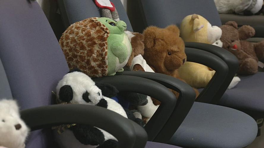 'Jury' of stuffed animals in Jefferson County Family Court