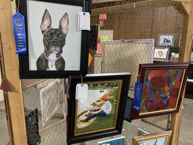 Shelby County Fair (11).JPG