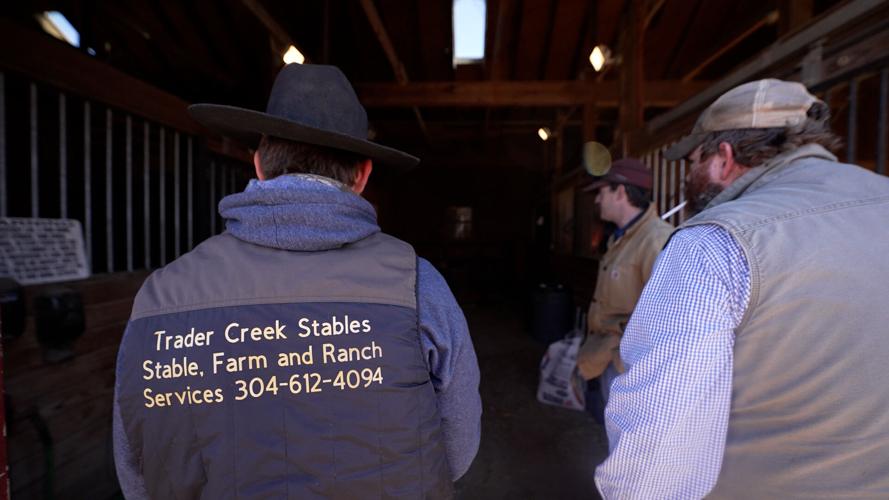 Final Cow Rescue 2.jpg