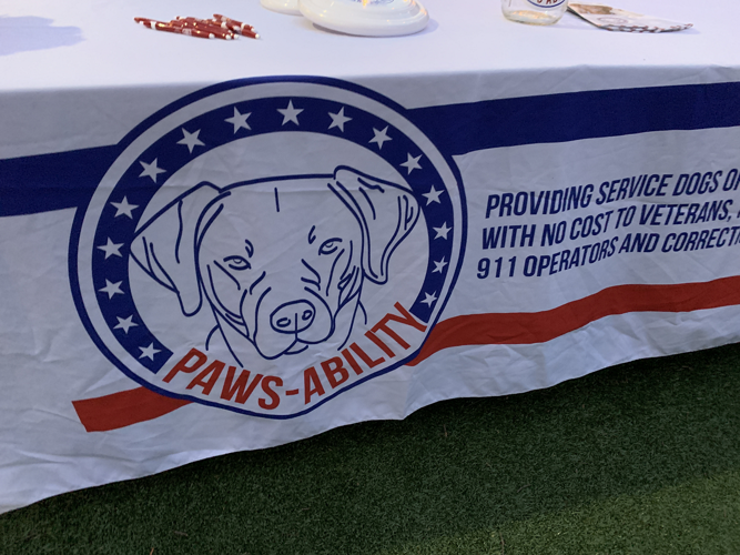 Pawsability for Puppy Palooza