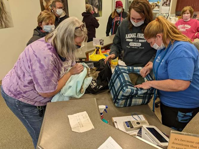 OHIO - BOMB THREAT KITTENS - 2-19-2021 6.jpg