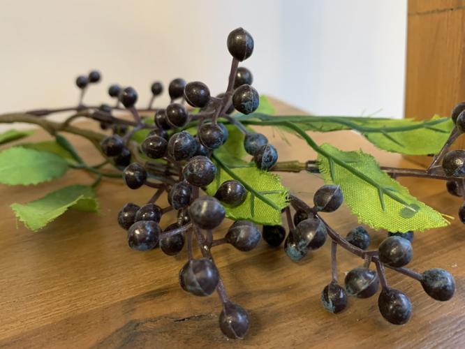 ELDERBERRY CO. - KEITH KAISER - 3-20-2020  (6).jpeg