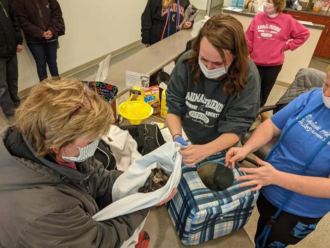 OHIO - BOMB THREAT KITTENS - 2-19-2021 7.jpg
