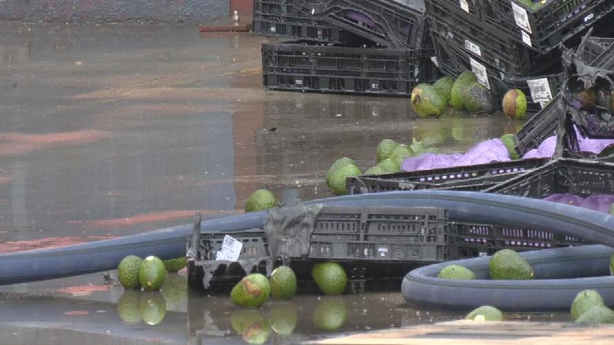 Avocados damaged after fire at Louisville's Horton Fruit Company