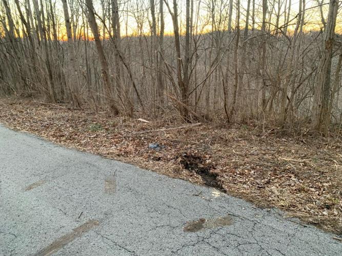 Skyview Road.jpg