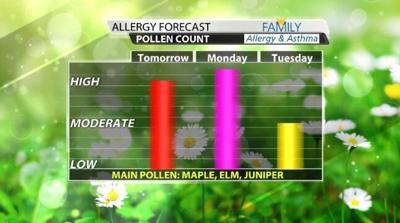 pollen.jpg