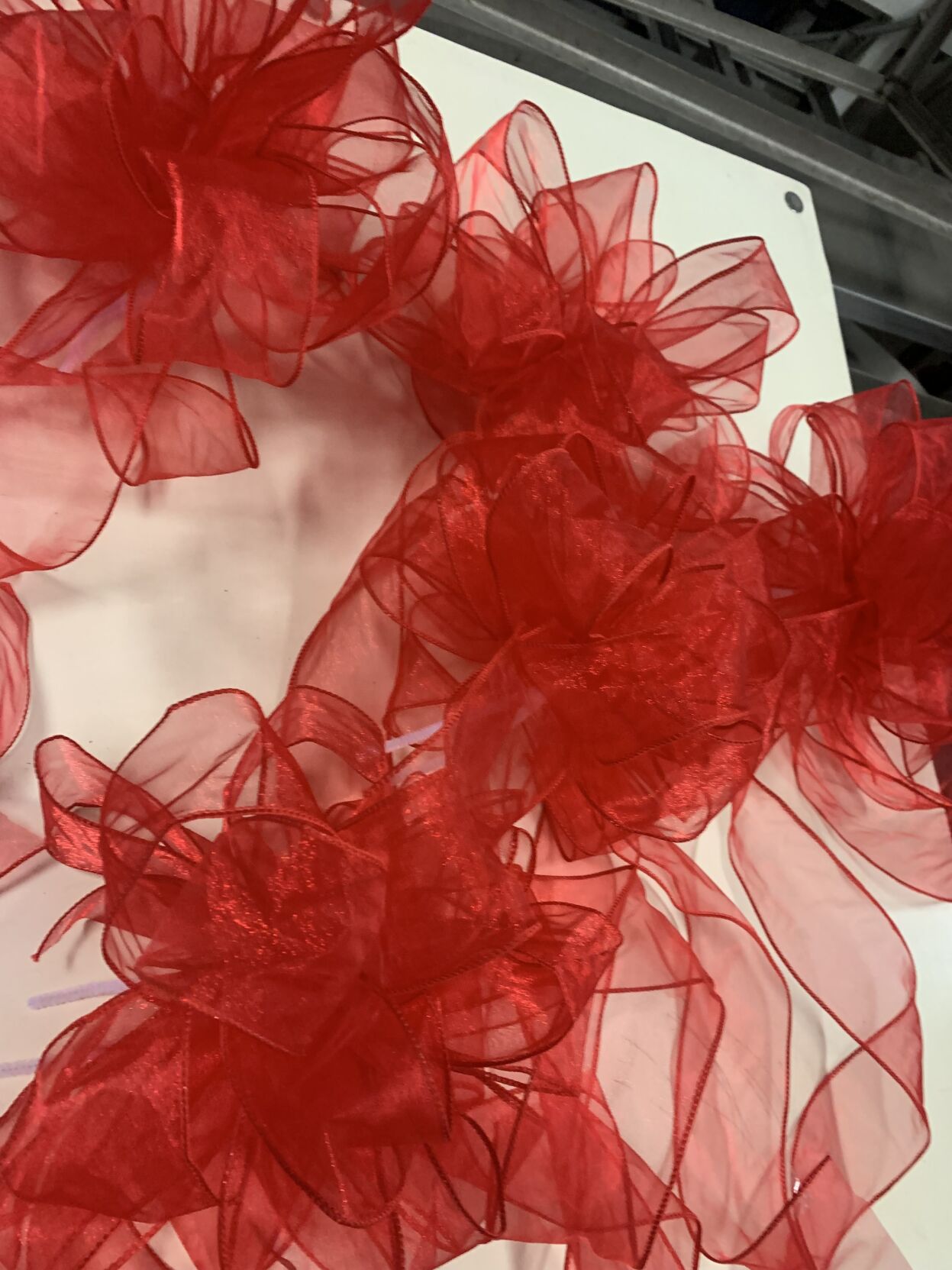 Derby 149 roses 5-3-23