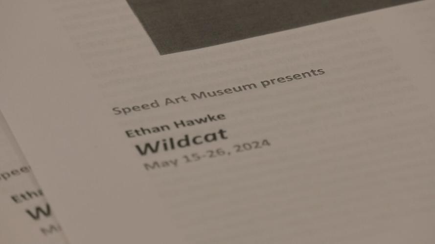 "Wildcat" Q&A at the Speed 5-15-24