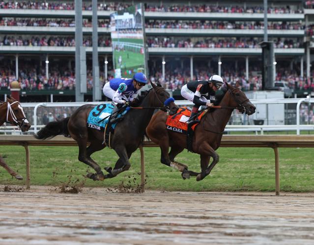 Two horses lead after First Turn - May 2.JPG