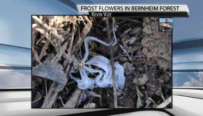 FROST FLOWERS: How The Rare Weather Phenomenon Forms...