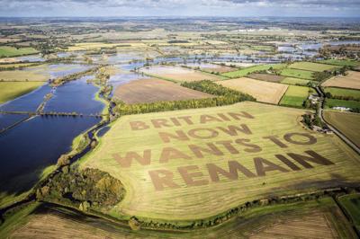 An anti-Brexit protest message which has been ploughed in 40 metre high letters in a field at Manor Farm