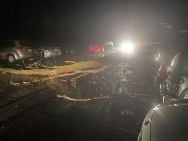 Tree damage in Fern Creek 4-13-22 (2).jpg