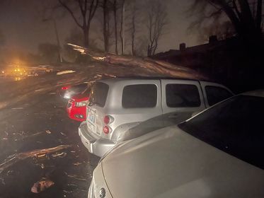 Tree damage in Fern Creek 4-13-22.jpg