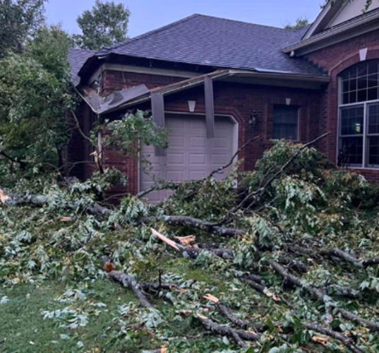 Tree down on home in Floyds Knobs, Indiana
