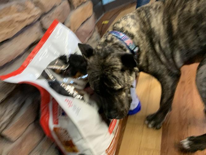 Ethan Becomes Compassion Ambassador (5).jpg