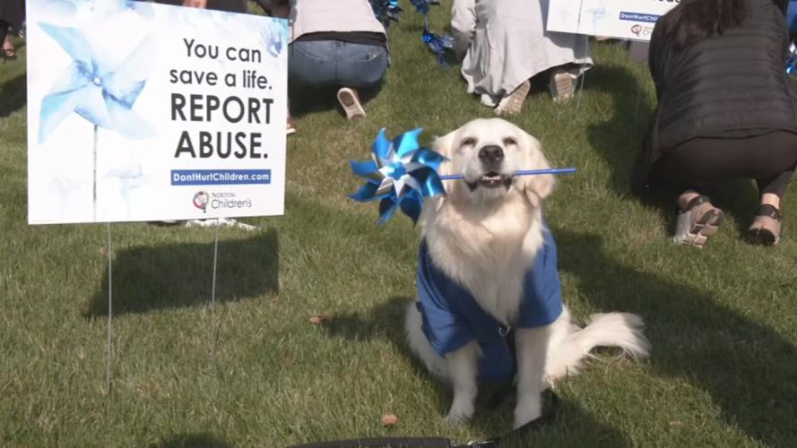 Pinwheels for Child Abuse Awareness Month at Norton Women's and Children's 3-29-24