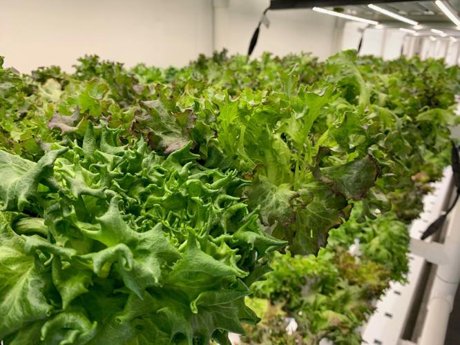 AppHarvest Container Farm Classroom