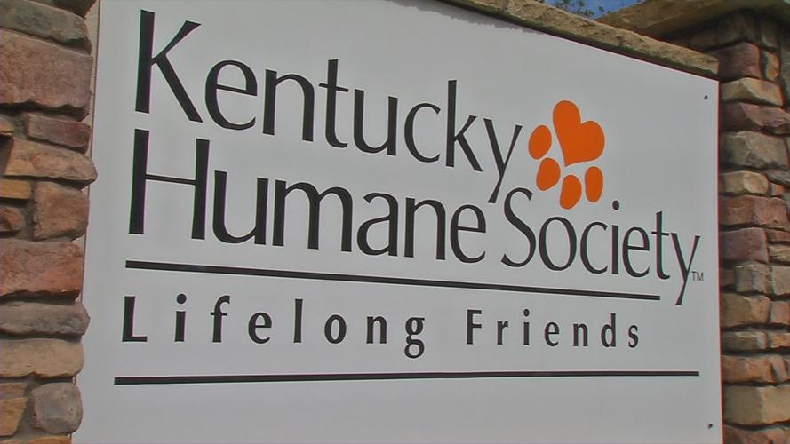HUMANE SOCIETY SENIOR DOGS GRANT.jpg