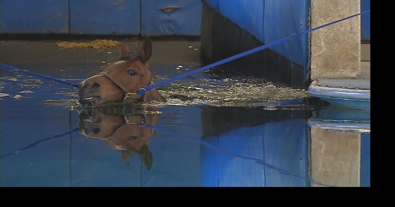 Horses dive into water therapy at Kentucky facility Derby 147