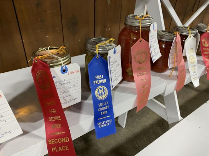 Shelby County Fair (12).JPG