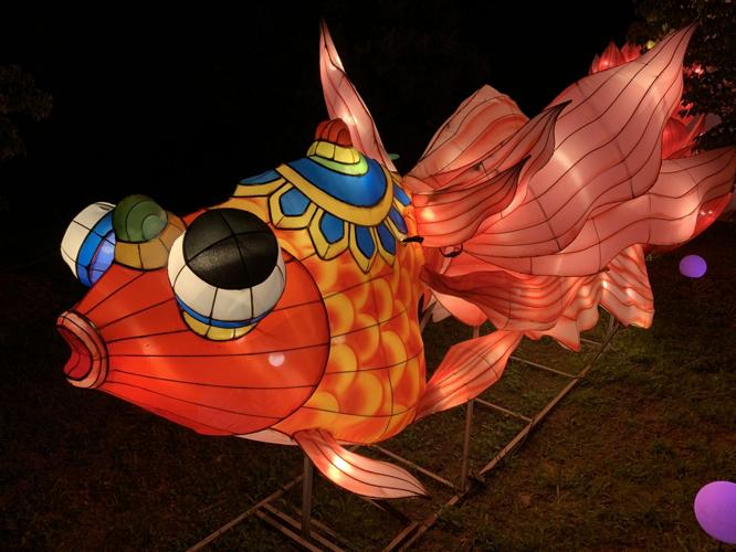 ASIAN LANTERN FESTIVAL - LOUISVILLE ZOO - KEITH KAISER - 7-15-2020  (1).JPG