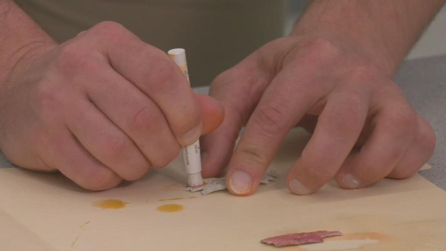 Louisville health department lead poisoning prevention