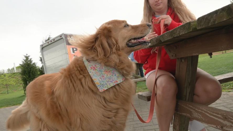 BARK AND BRUNCH AT THE WATERFRONT