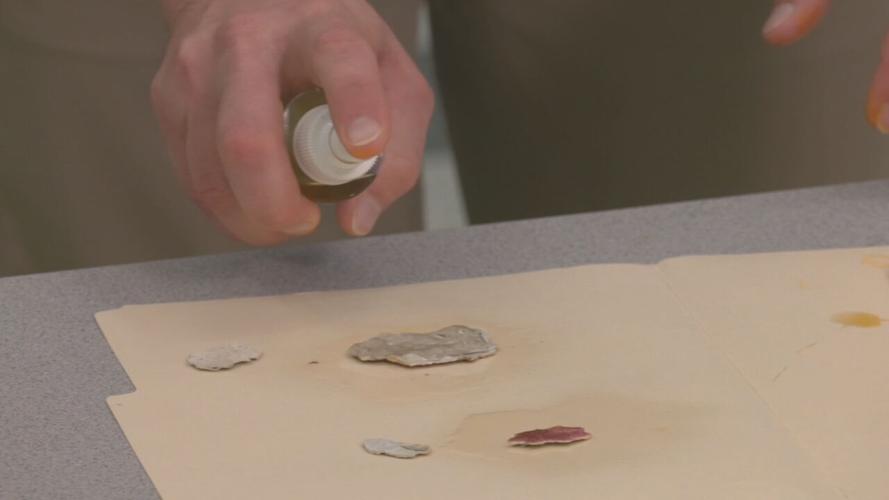 Louisville health department lead poisoning prevention
