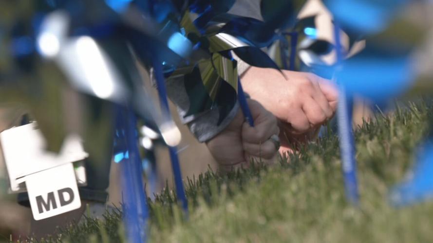 Pinwheels for Child Abuse Awareness Month at Norton Women's and Children's 3-29-24