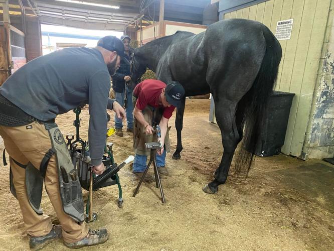 One hoof at a time A look at how racehorses get their perfect shoes