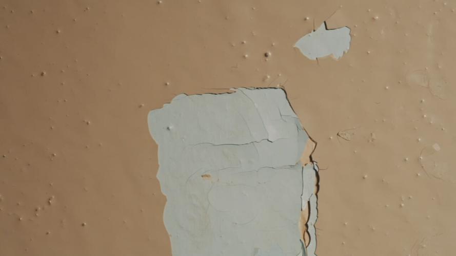 Louisville health department lead poisoning prevention